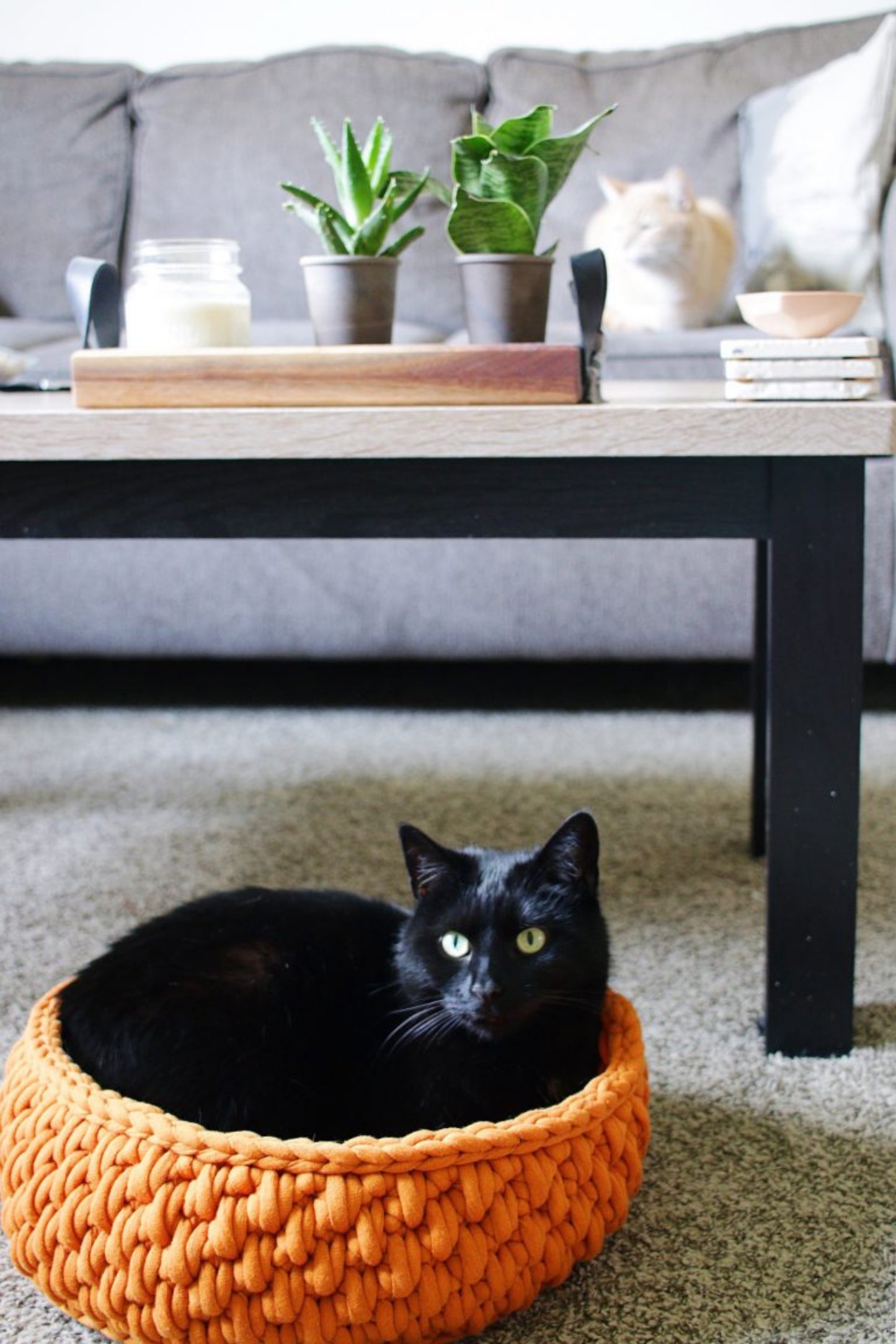 Cozy Round Cat Bed – Jumbo Yarn Crochet Pattern - PDF